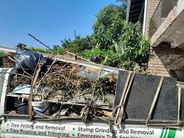 Best Commercial Junk Removal  in Shady Spring, WV