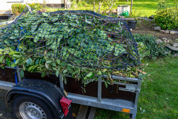 Best Carpet Removal and Disposal  in Shady Spring, WV